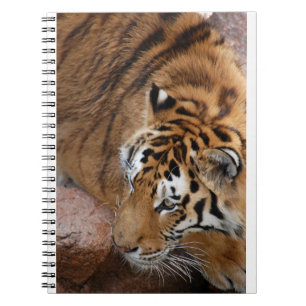 Bengalisch Tiger Notizblock