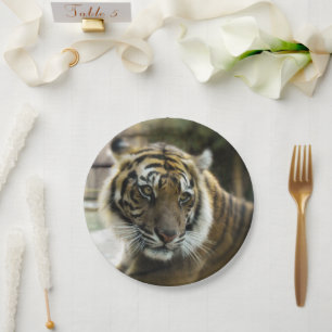 Bengalisch Tiger Pappteller