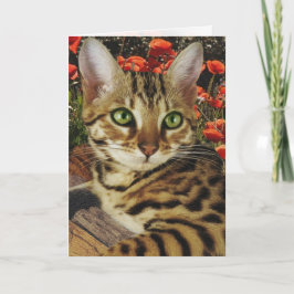 Bengalische Karten und Sticker