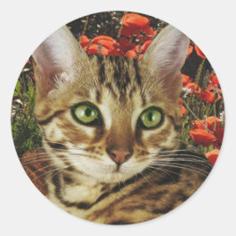 Bengalische Karten und Sticker