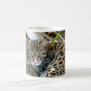 Bengalische Katze 005 Kaffeetasse