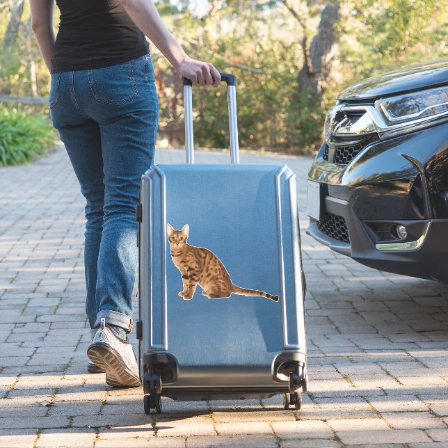 Bengalische Katze Aufkleber (Koffer Insitu)