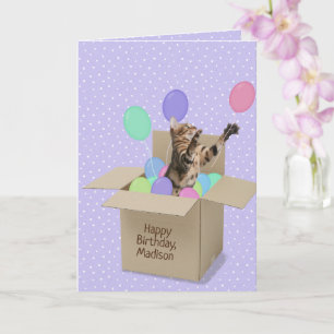 Bengalische Katze in Kiste auf Polka-Punkt Karte