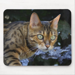 Bengalische Katze Mousepad