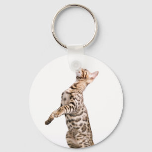 Bengalische Katze Schlüsselanhänger
