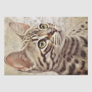 Bengalische Katze Seidenpapier