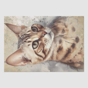 Bengalische Katze Seidenpapier