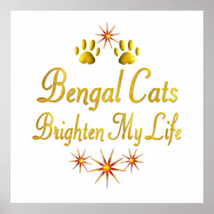 Bengalische Katzen hellen mein Leben Poster