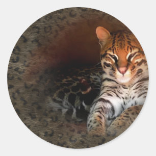 Bengalische Katzen-/Kitty-Aufkleber Runder Aufkleber