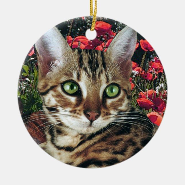 Bengalische Katzen-Verzierungen Keramik Ornament (Vorne)