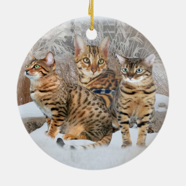 Bengalische Katzen-Verzierungen Keramikornament (Hinten)