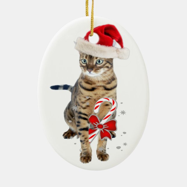 Bengalische Katzen-Verzierungen Keramikornament (Hinten)