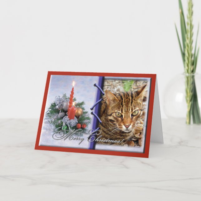 Bengalische Katzen-Weihnachtsgruß-Karte Feiertagskarte (Vorderseite)