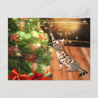 Bengalische Katzenjause Feiertagspostkarte