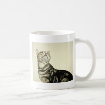 Bengalische Marmorierungkatze