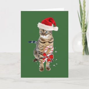 Bengalische Sankt-Geschenke Feiertagskarte
