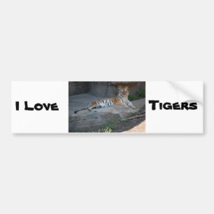 Bengalische Tiger-Liebe Autoaufkleber