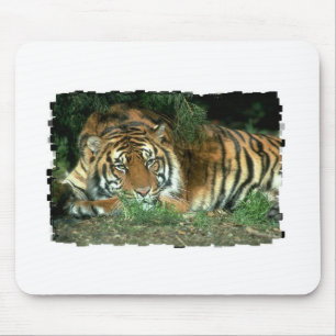 Bengalische Tiger-Mausunterlage Mousepad