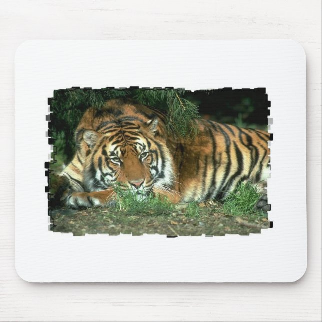 Bengalische Tiger-Mausunterlage Mousepad (Vorne)