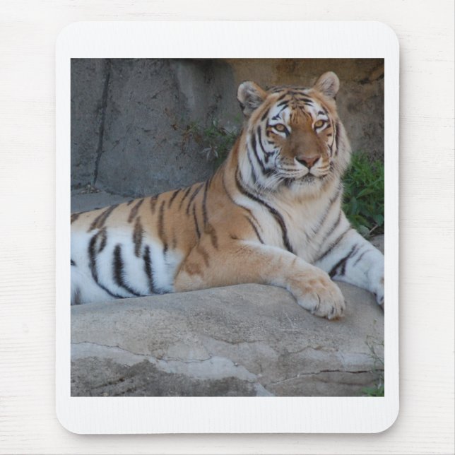 Bengalische Tiger Mousepad (Vorne)