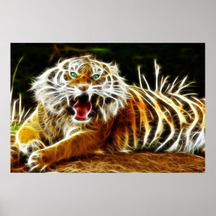 Bengalischer Erdgas 1 Poster