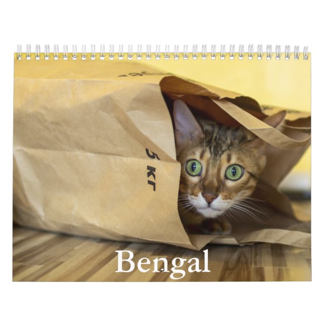 Bengalischer Kalender (Titelbild)