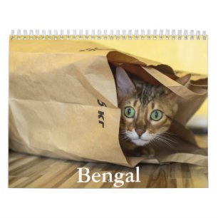Bengalischer Kalender