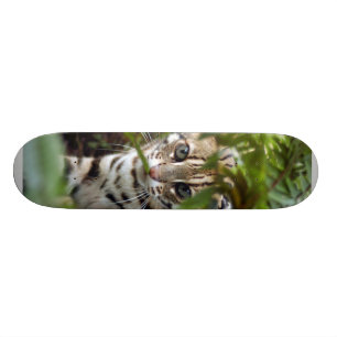 Bengalischer Katze022 Skateboard