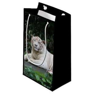 Bengalischer Tiger aus Schwarz und Weiß entspannt Kleine Geschenktüte