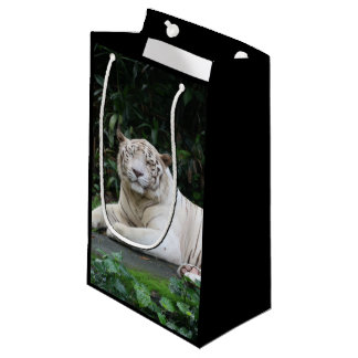 Bengalischer Tiger aus Schwarz und Weiß entspannt Kleine Geschenktüte