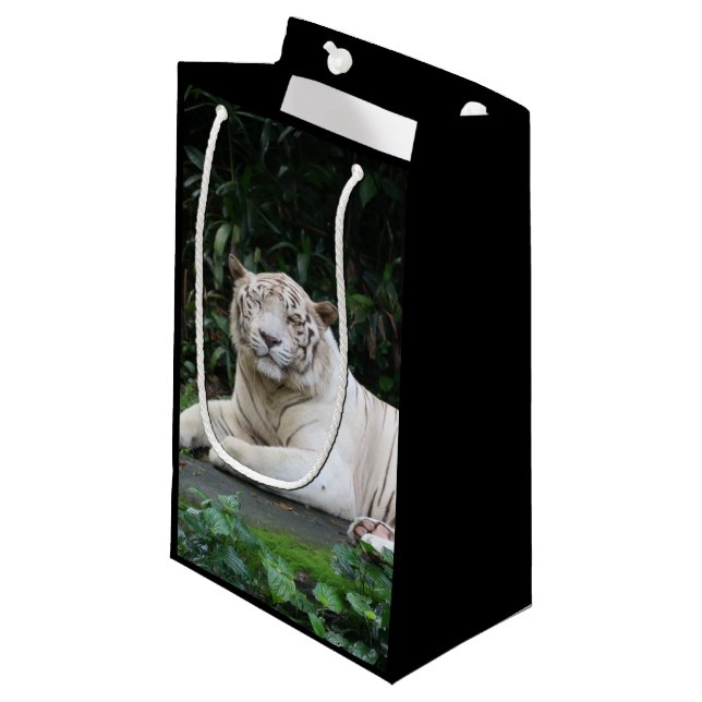 Bengalischer Tiger aus Schwarz und Weiß entspannt  Kleine Geschenktüte (Vorderseite Schrägansicht)