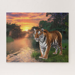 Bengalischer Tiger bei Sonnenuntergang