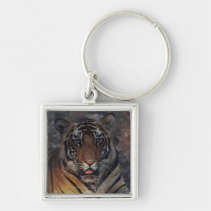 Bengalischer Tiger CUB Schlüsselanhänger