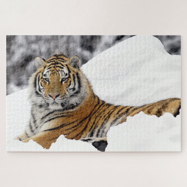 Bengalischer Tiger, der Sie vom Schnee aus beobach (Horizontal)
