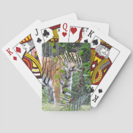 Bengalischer Tiger - Fahrradkarten Spielkarten