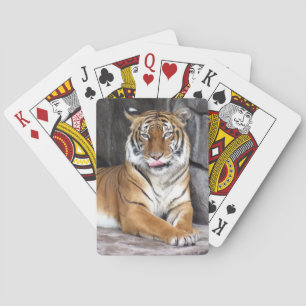 Bengalischer Tiger - Fahrradkarten Spielkarten