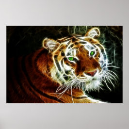 Bengalischer Tiger Gaspedal 2 Poster