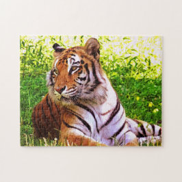 Bengalischer Tiger im Graspuzzle