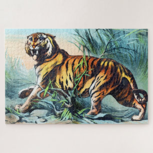  Bengalischer Tiger im langen Gras mit blauem Himm