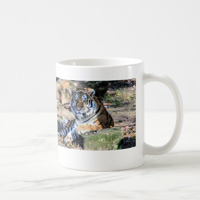 Bengalischer Tiger Kaffeetasse (Rechts)