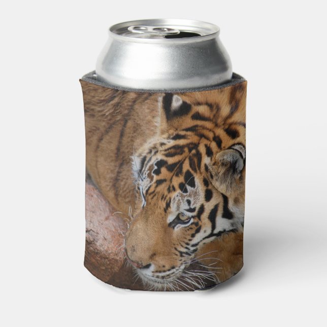 Bengalischer Tiger kann kühlen Dosenkühler (Kanne Rückseite)