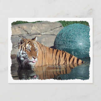 Bengalischer Tiger-kundengerechte Stylized Einladung