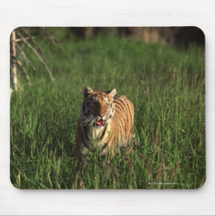 Bengalischer Tiger Mousepad