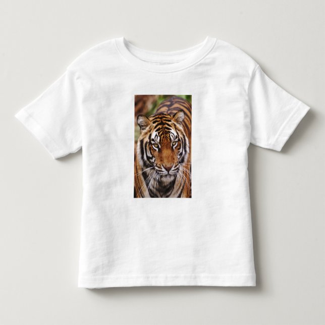 Bengalischer Tiger, Panthera tigris Kleinkind T-shirt (Vorderseite)