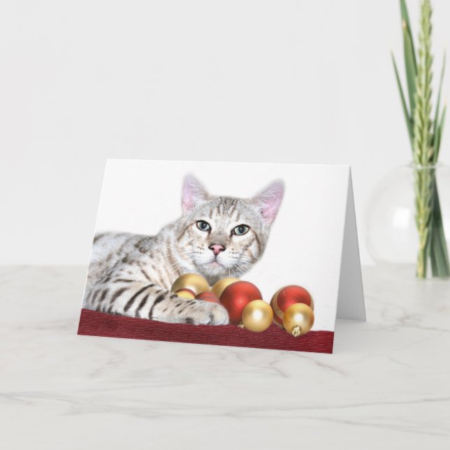 Bengalisches Katze Weihnachten (Vorderseite)