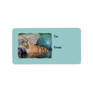Bengalisches Tiger-Foto-hellblaue Adressaufkleber
