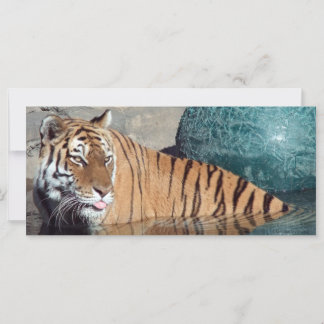 Bengalisches Tiger-Foto-Lesezeichen