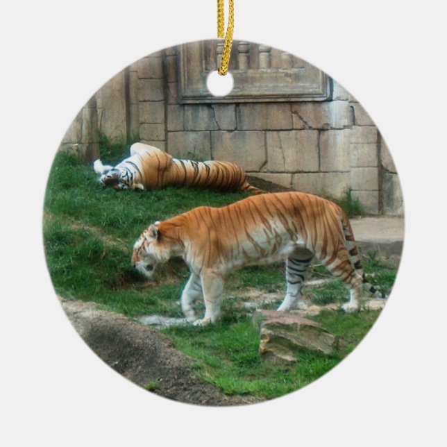 Bengalisches Tiger-Verzierungs-~ gefährdete Keramikornament (Vorne)