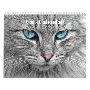 Bengalkatzen 2027 kalender