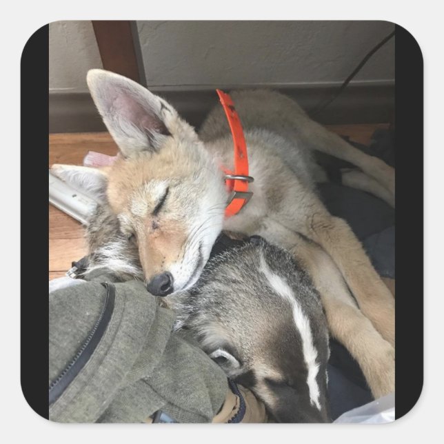 Benny und Doc Stickers (Vorderseite)